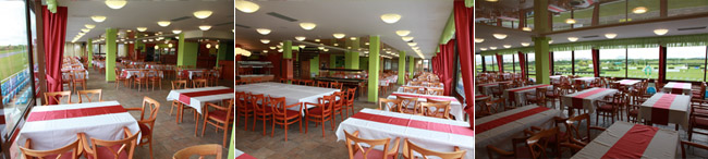 dostihovy klub