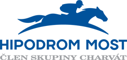 logo male