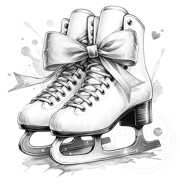 08.11.2025 - Bílinská bruslička 2025