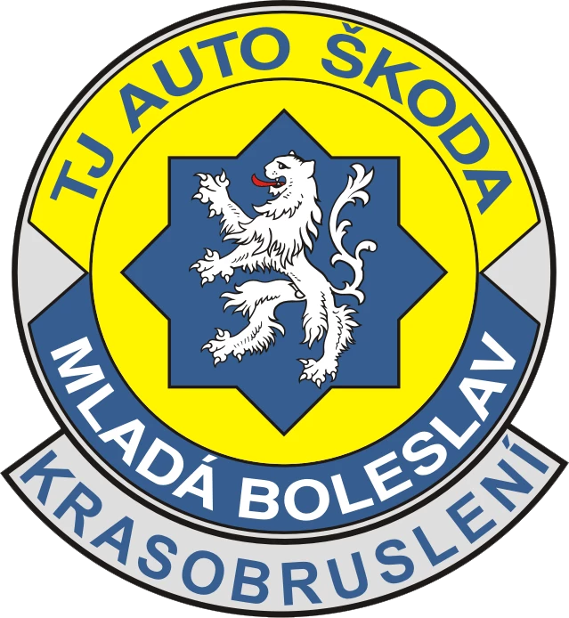 27.01.2013 - Mladoboleslavský pohár